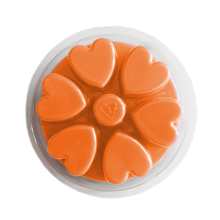 Load image into Gallery viewer, pumpkin wax melts
